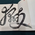 內頁