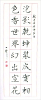 八言-泡影.色香