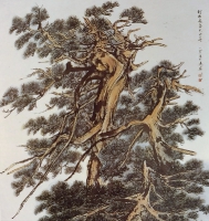 松柏長春圖(73*69cm)